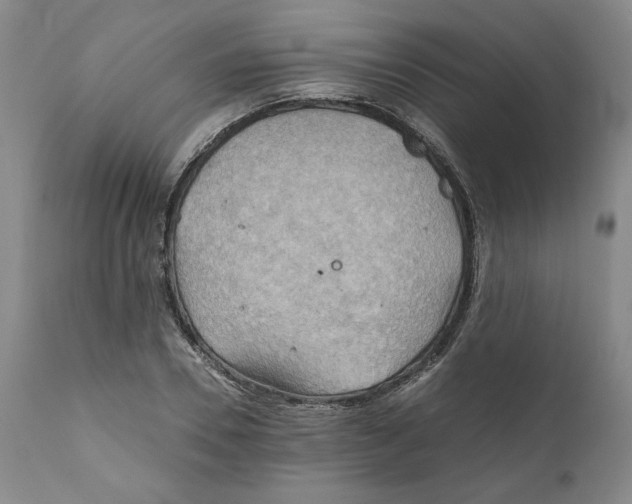 X0000111030930200907231617