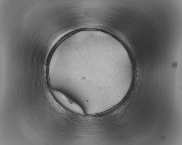 X0000111030932200907231617