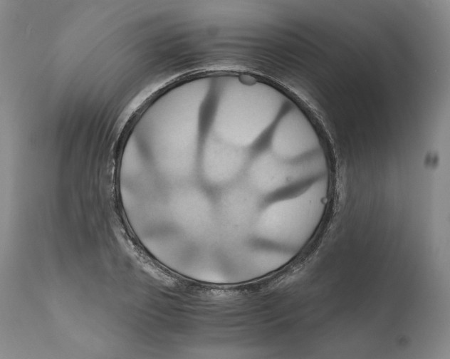 X0000111030933200907231617