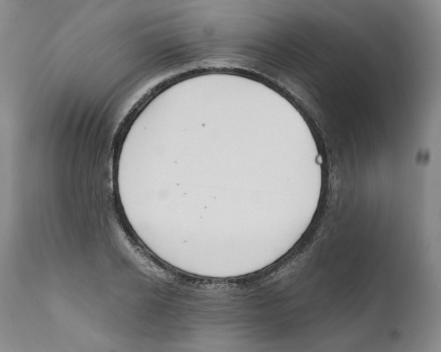 X0000111030934200907231617