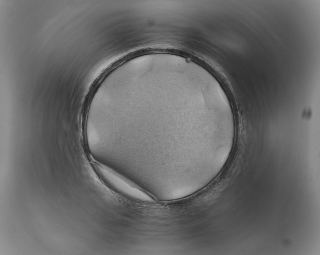 X0000111030935200907231617