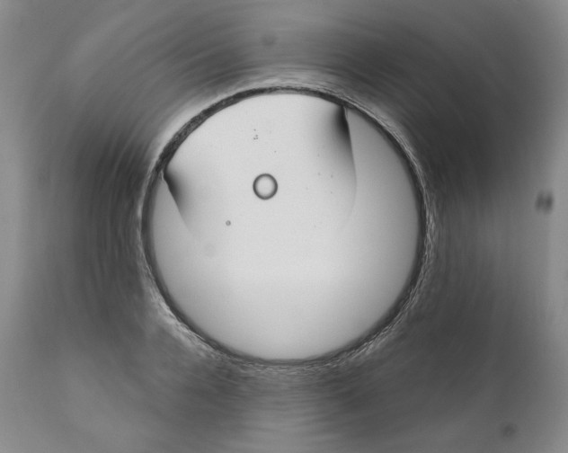 X0000111030936200907231617