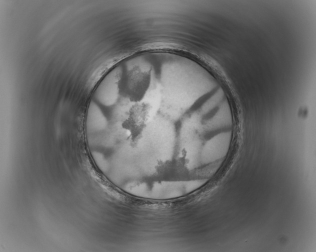 X0000111030937200907231617