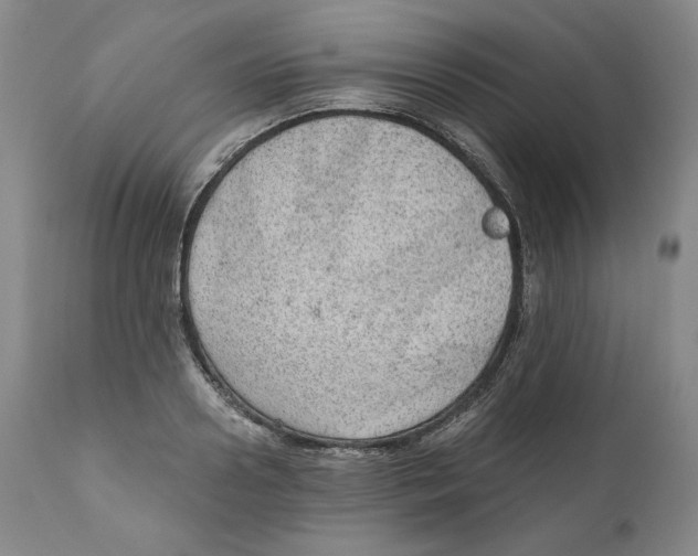 X0000111030938200907231617