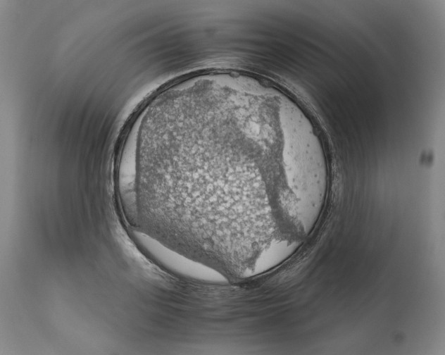 X0000111030939200907231617