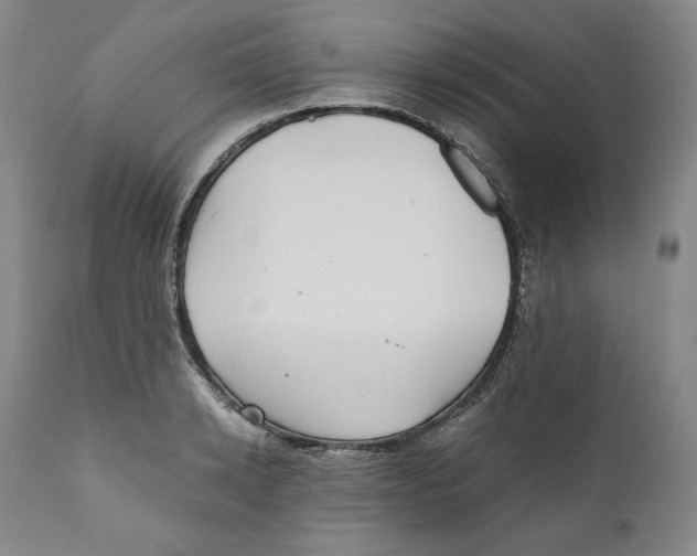 X0000111030942200907231617