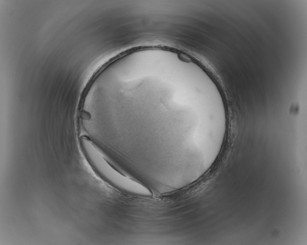 X0000111030943200907231617