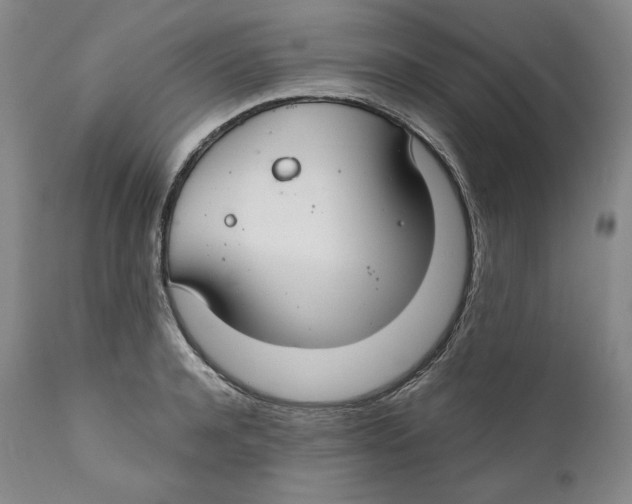 X0000111030944200907231617