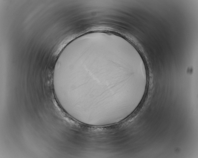 X0000111030945200907231617