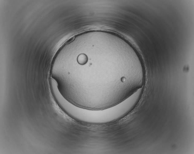 X0000111030946200907231617