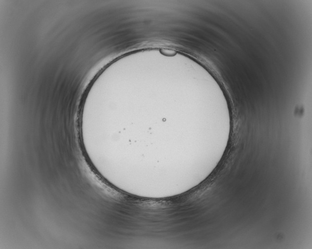 X0000111030947200907231617