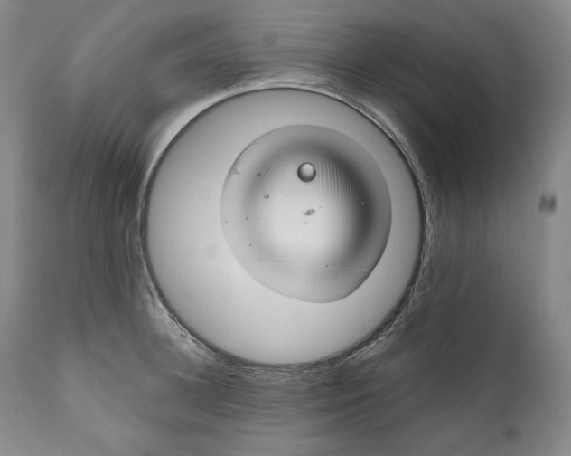 X0000111030948200907231617