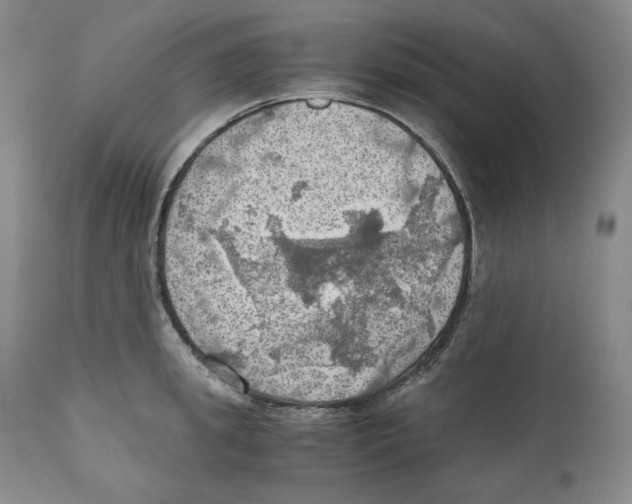 X0000111030949200907231617