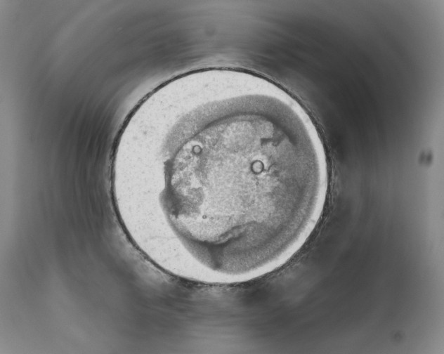 X0000111030950200907231617