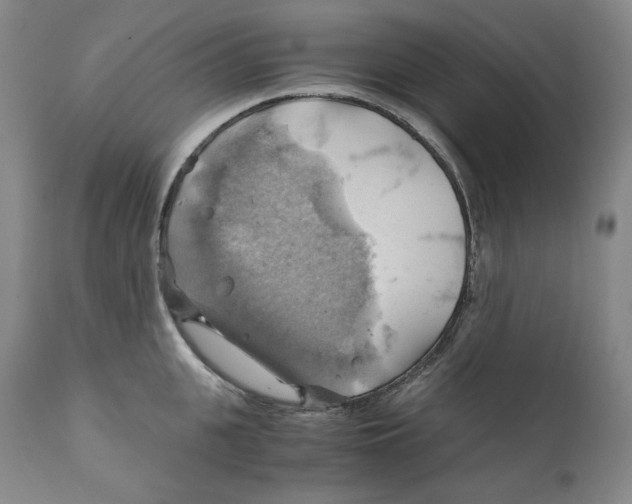 X0000111030951200907231617