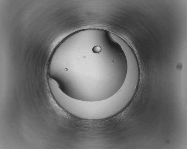 X0000111030952200907231617