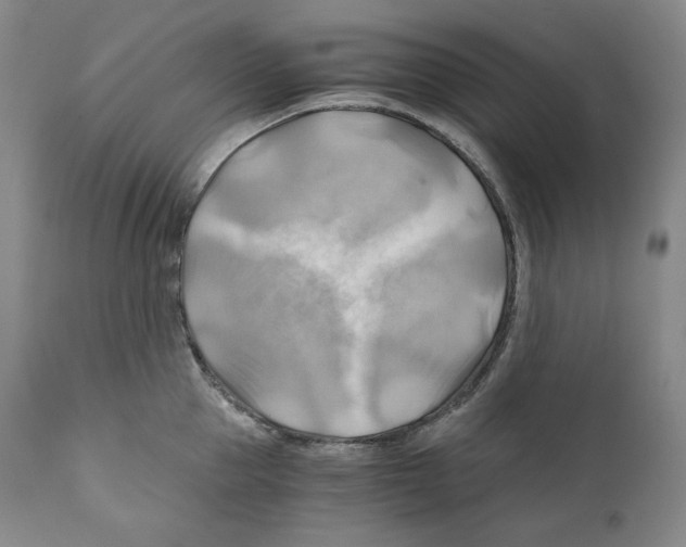 X0000111030953200907231617