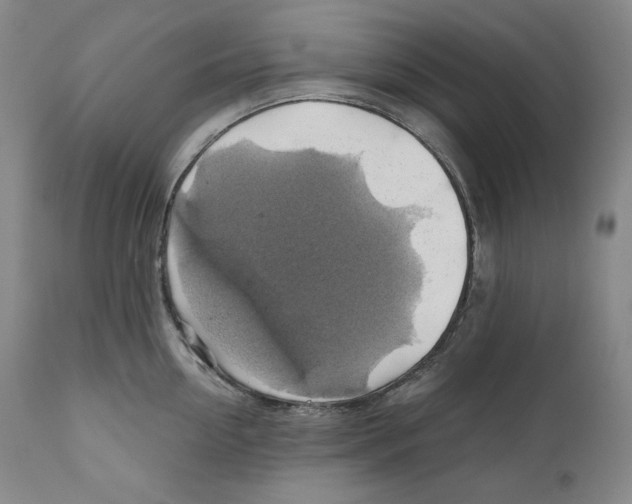 X0000111030954200907231617