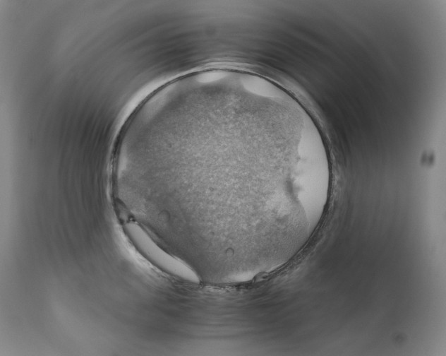 X0000111030955200907231617