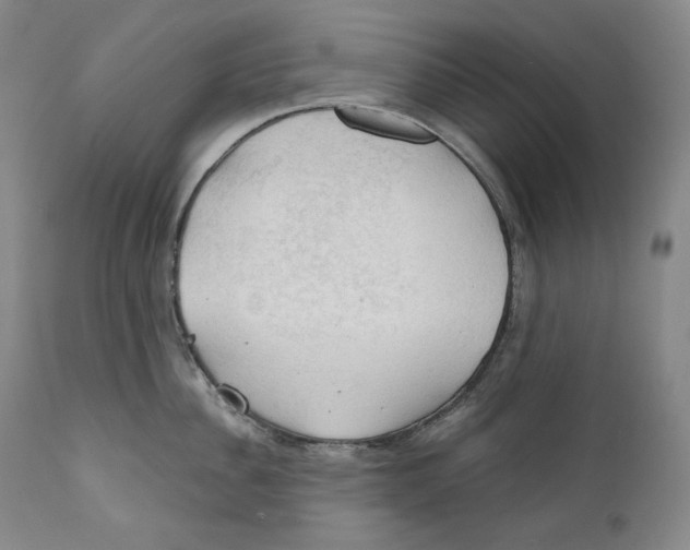 X0000111030956200907231617