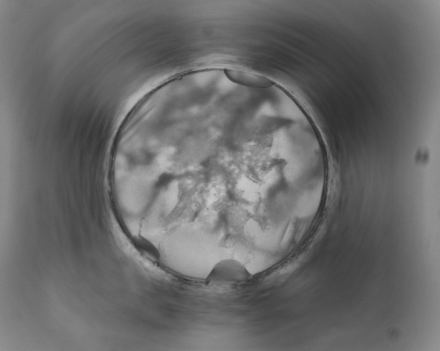 X0000111030957200907231617