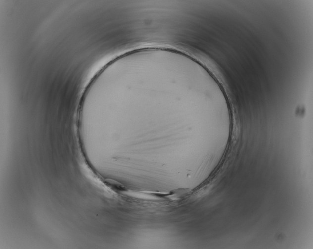 X0000111030958200907231617