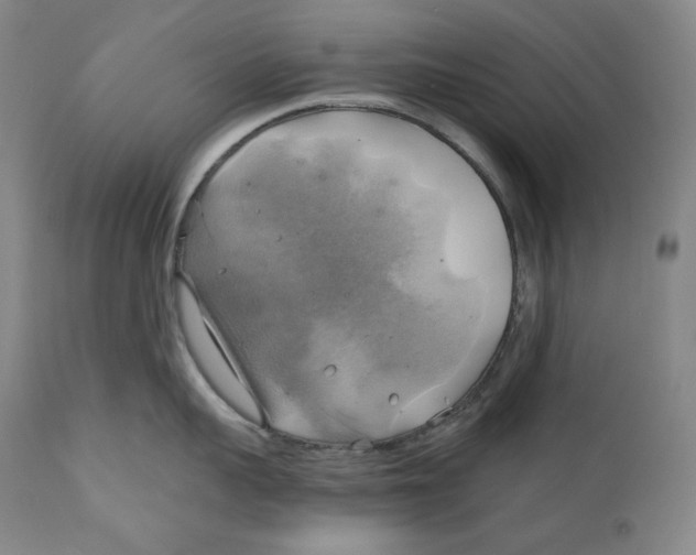 X0000111030959200907231617