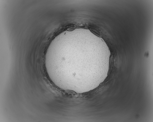 X0000111030961200907231617