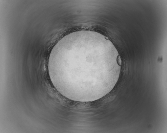 X0000111030962200907231617