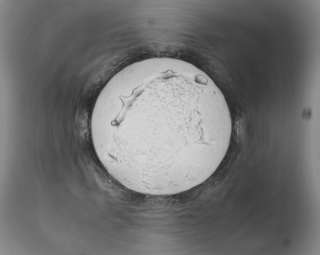 X0000111030963200907231617