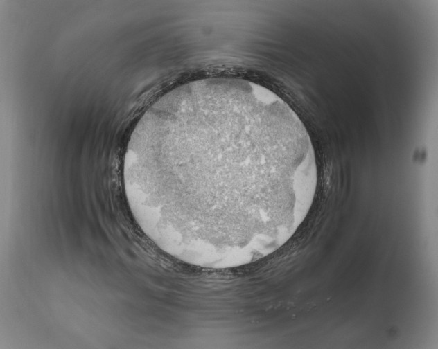 X0000111030964200907231617