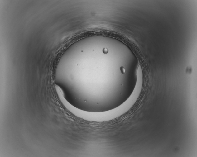 X0000111030965200907231617