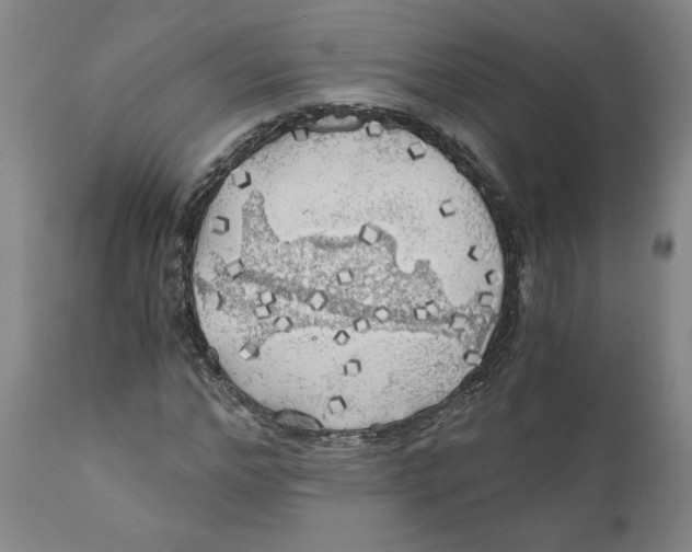 X0000111030968200907231616