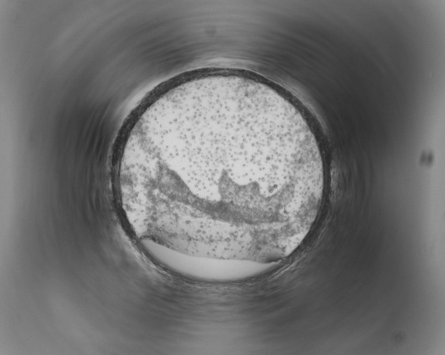 X0000111030972200907231616