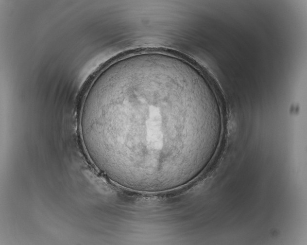 X0000111030973200907231616