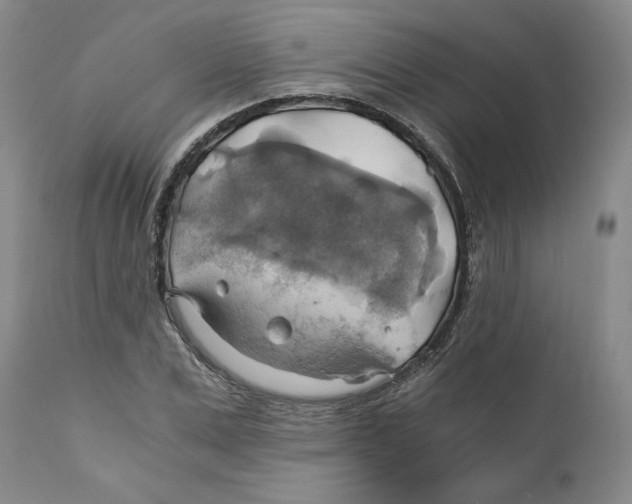 X0000111030975200907231616