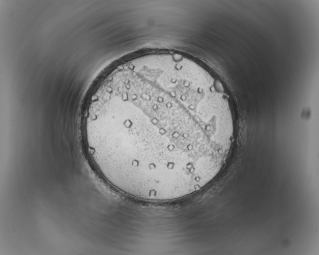 X0000111030976200907231616