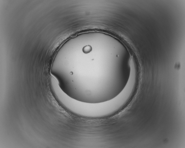 X0000111030977200907231616