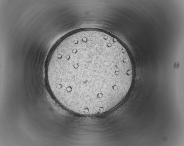 X0000111030980200907231616
