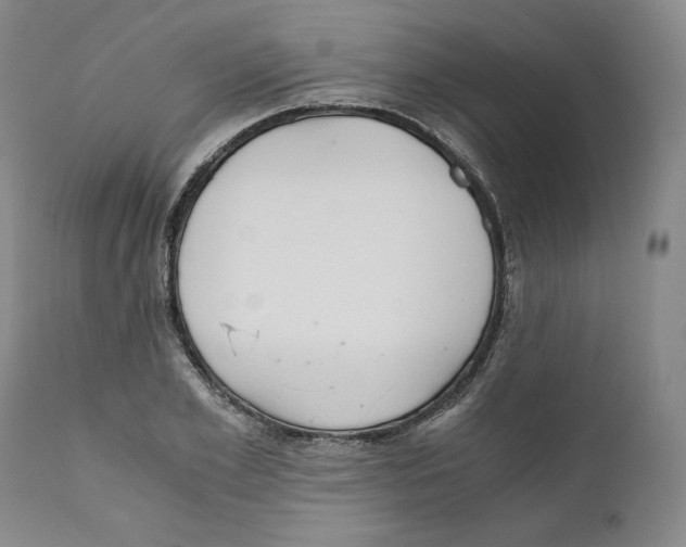 X0000111030981200907231616