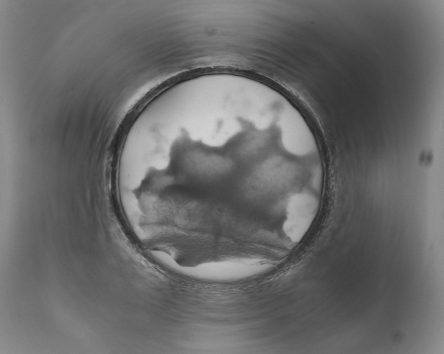 X0000111030983200907231616