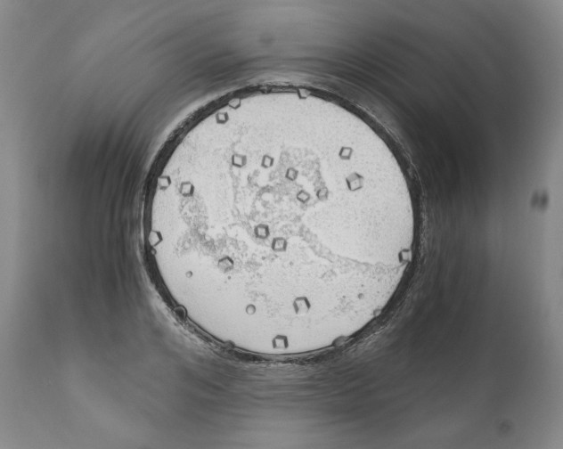 X0000111030984200907231616
