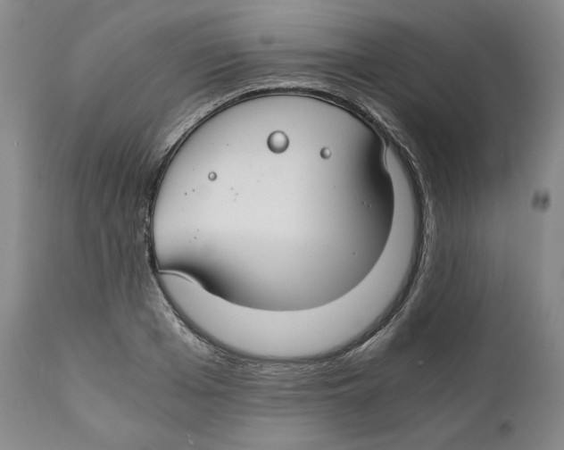 X0000111030985200907231616