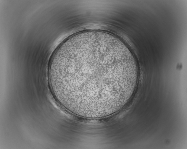 X0000111030986200907231616