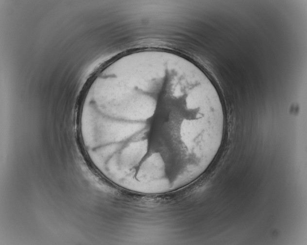 X0000111030987200907231616