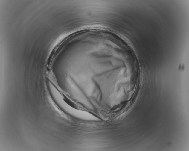 X0000111030989200907231616