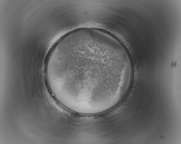 X0000111030990200907231616