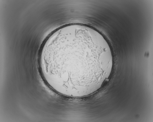 X0000111030991200907231616