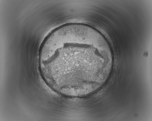 X0000111030992200907231616