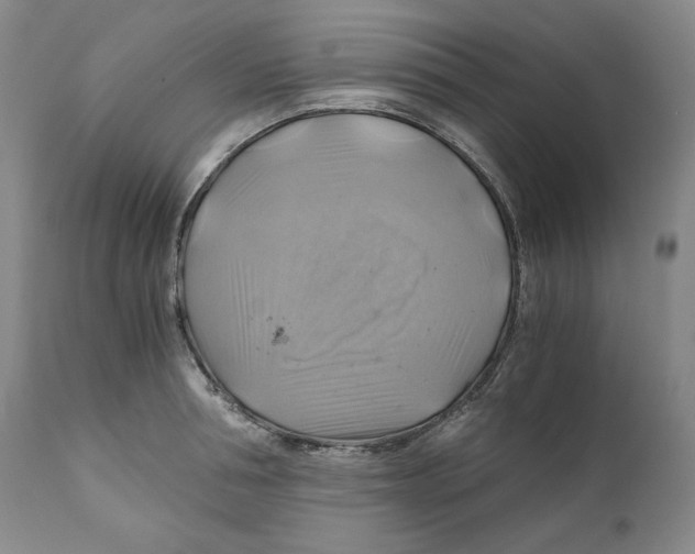 X0000111030994200907231616